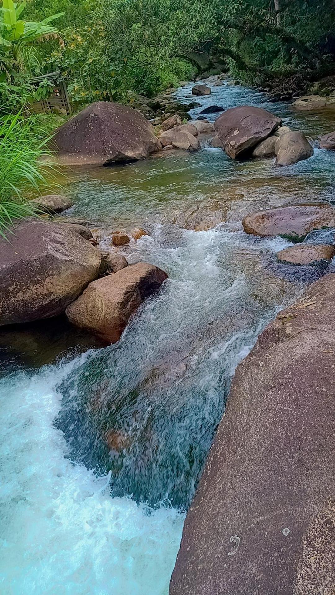 Palmeira Azul Pensión