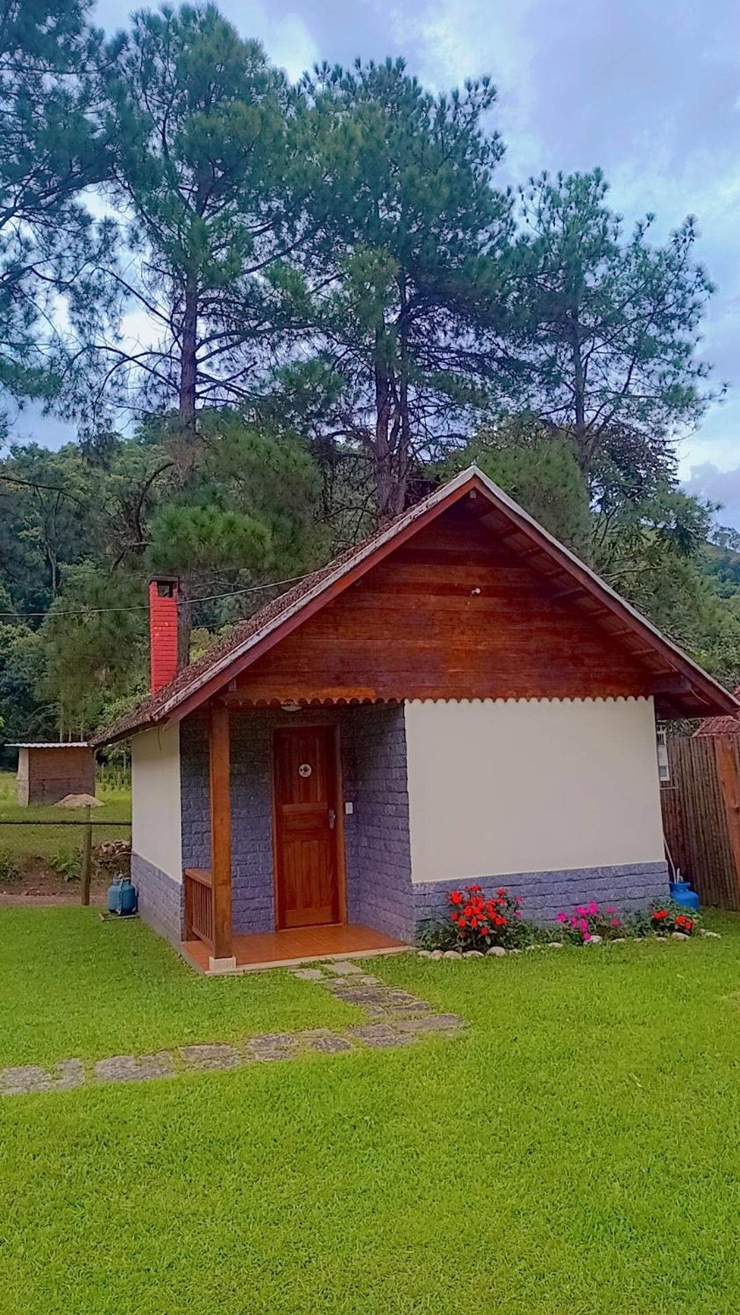 Palmeira Azul