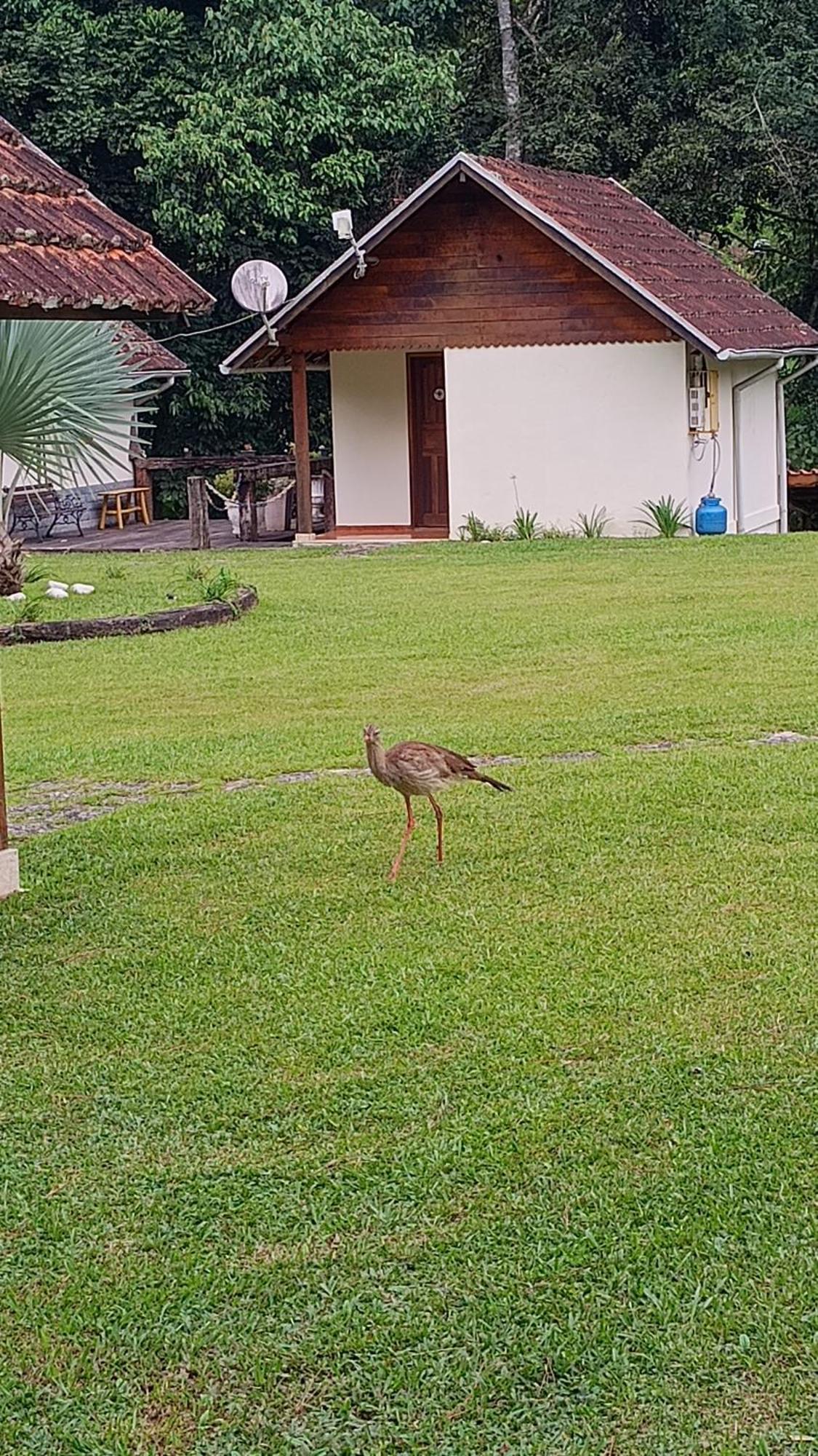 Palmeira Azul Pensión Visconde de Mauá